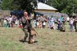 Podujatie Bezpečné mesto je späť